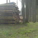 ArmyBone – klouby pod zátěží.
